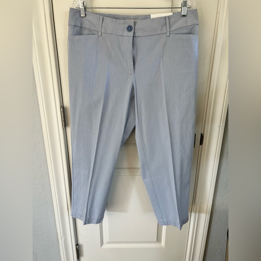Curvy Crop The Loft capri pants
